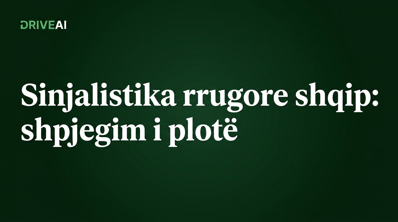 Sinjalistika rrugore shqip: shpjegim i plotë me kategori